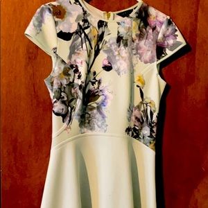 Ted baker above the knee dress